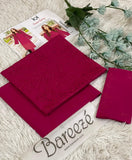 2 PIECE EMBROIDERED LAWN BAREEZE